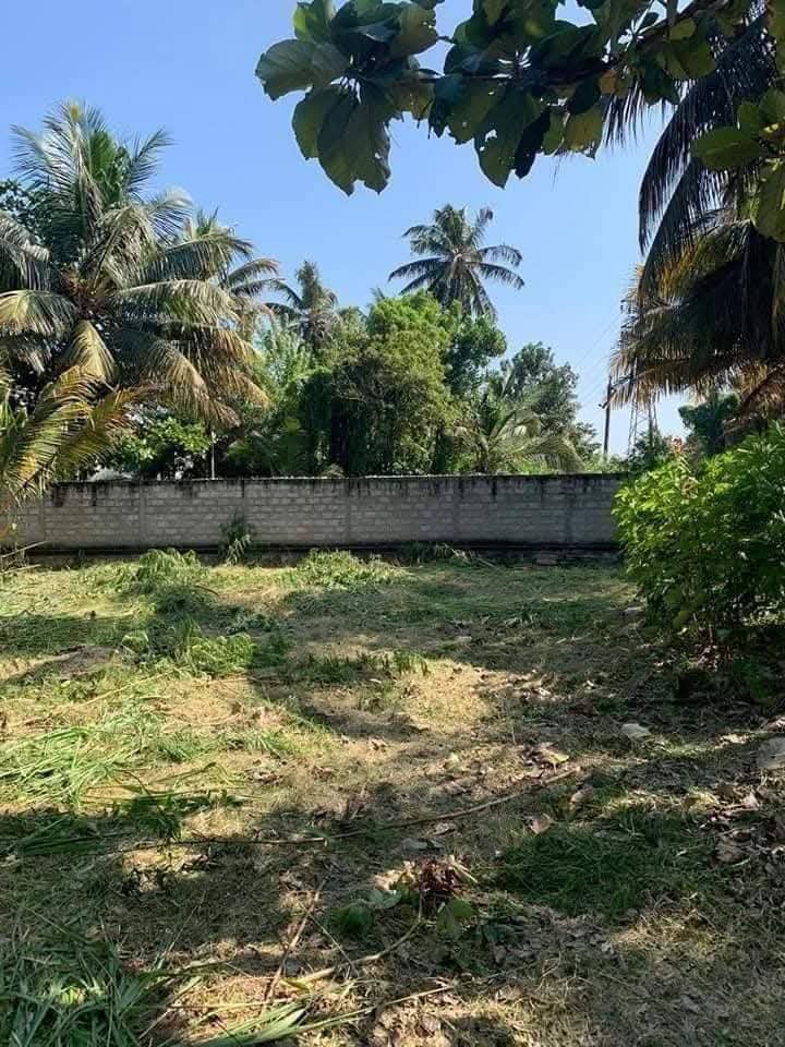 Land For Sale – Jayarathna Road