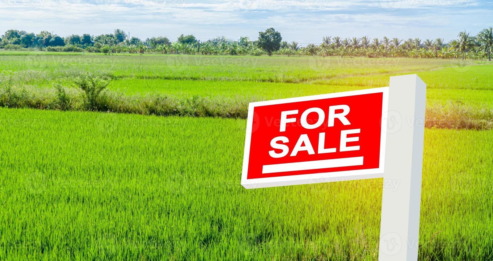Land for sale – Minuwangoda