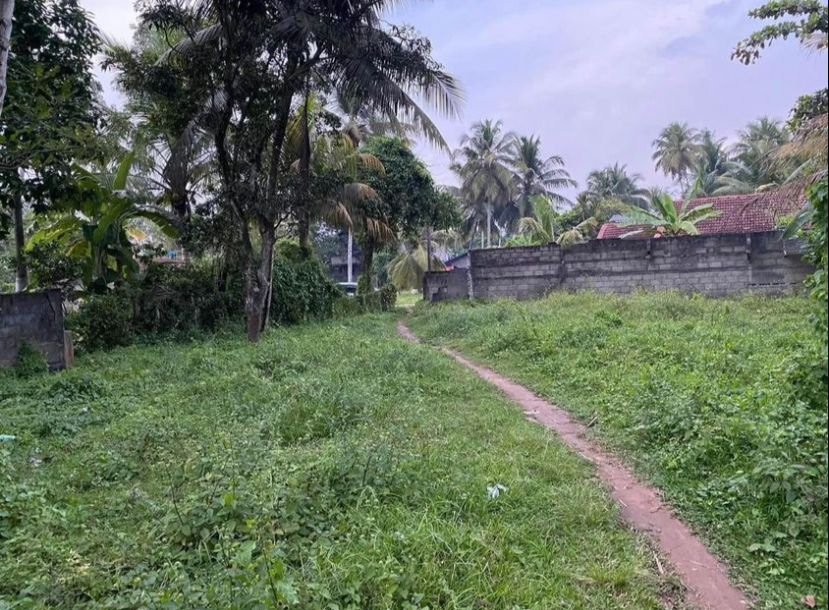 Land for sale in Negombo / Rukkathana