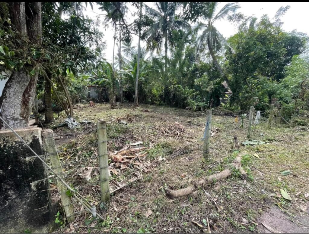 Akkara Panaha