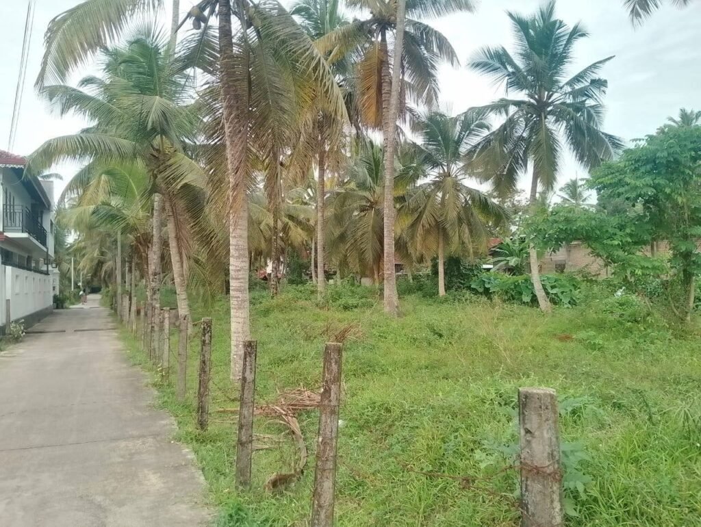 Daluwakotuwa Welihena