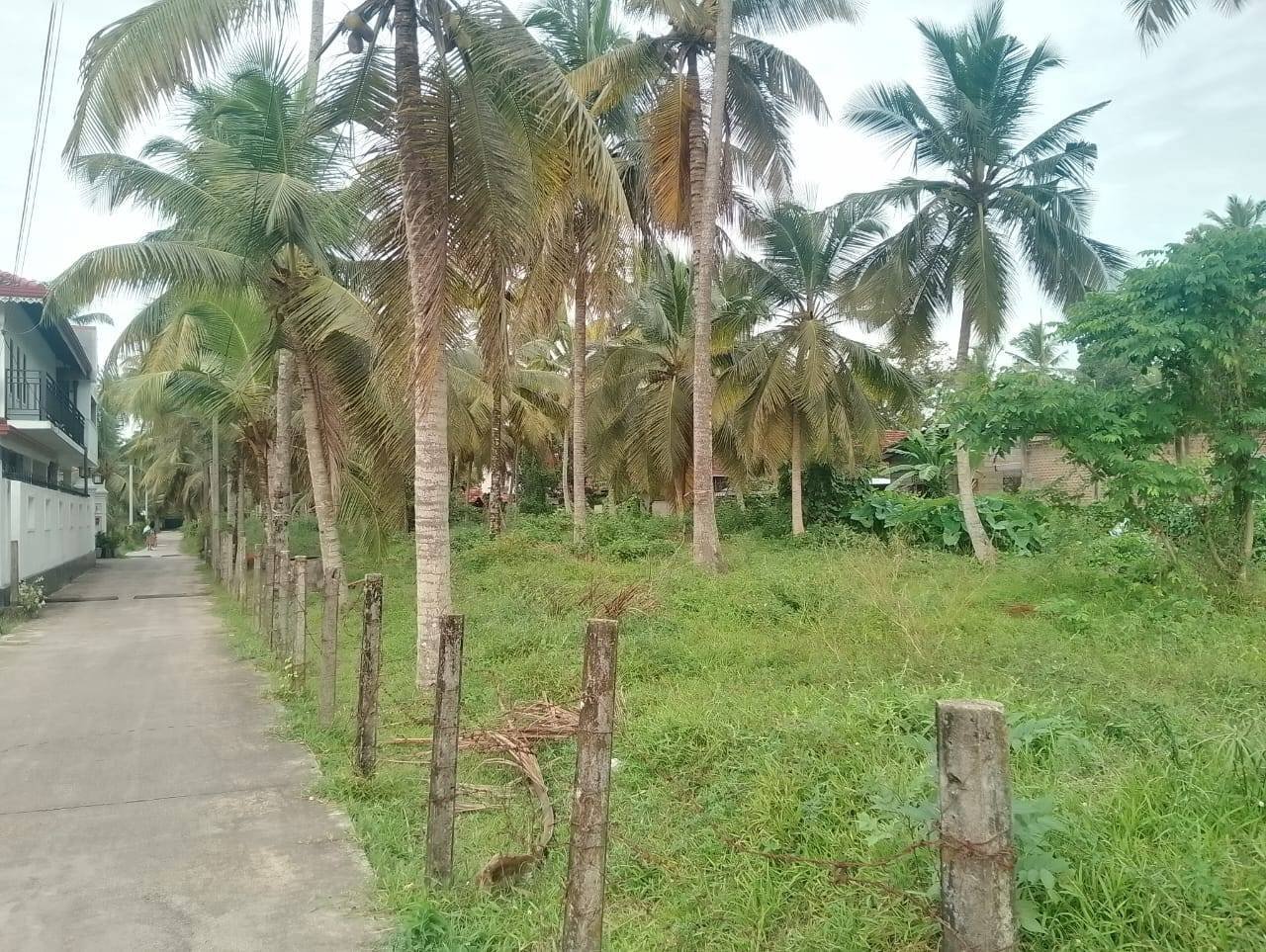 Daluwakotuwa Welihena