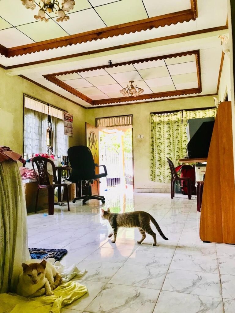 House for Sale Daluwakotuwa