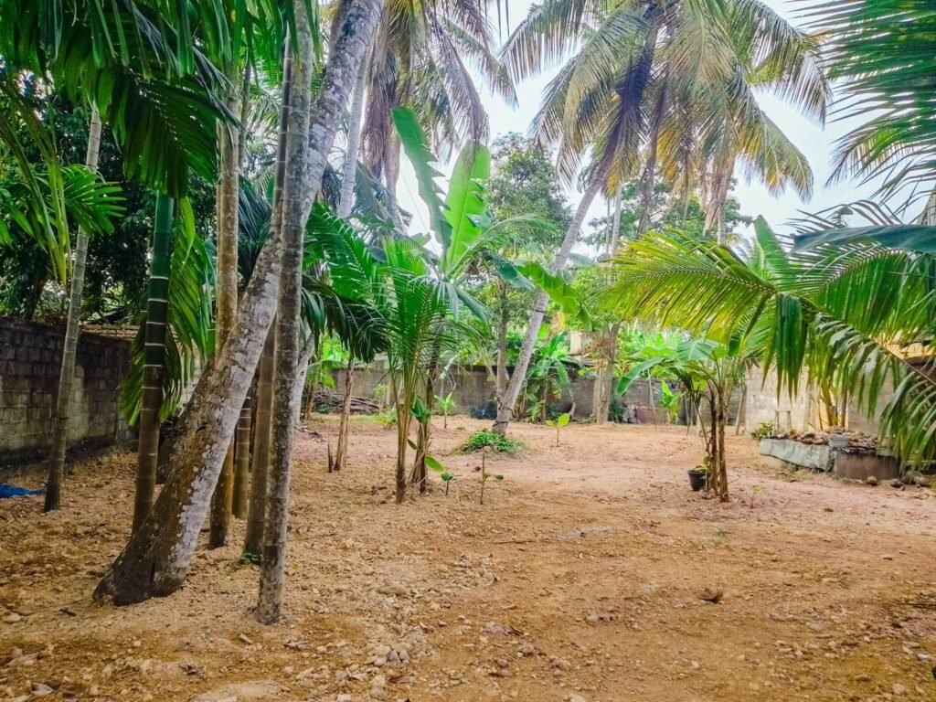 Land with House for Sale in Negambo