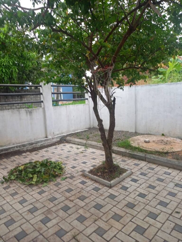 House for Rent – Negombo