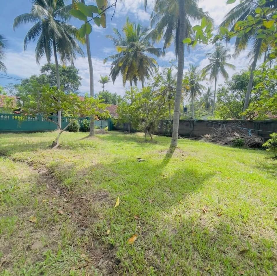 Land for Sale – Dalupatha, Negombo