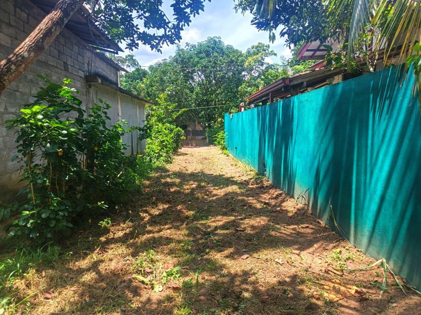 Land for sale- Waliweriya