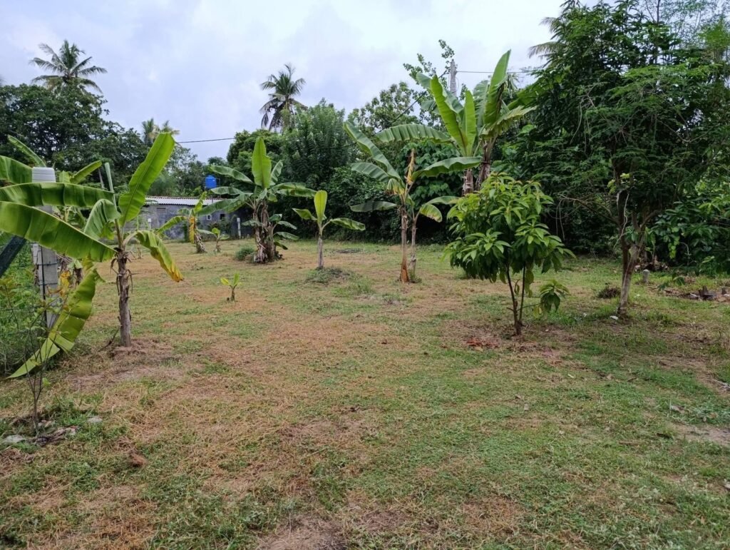 Land for Sale – Kochchikade, Negombo