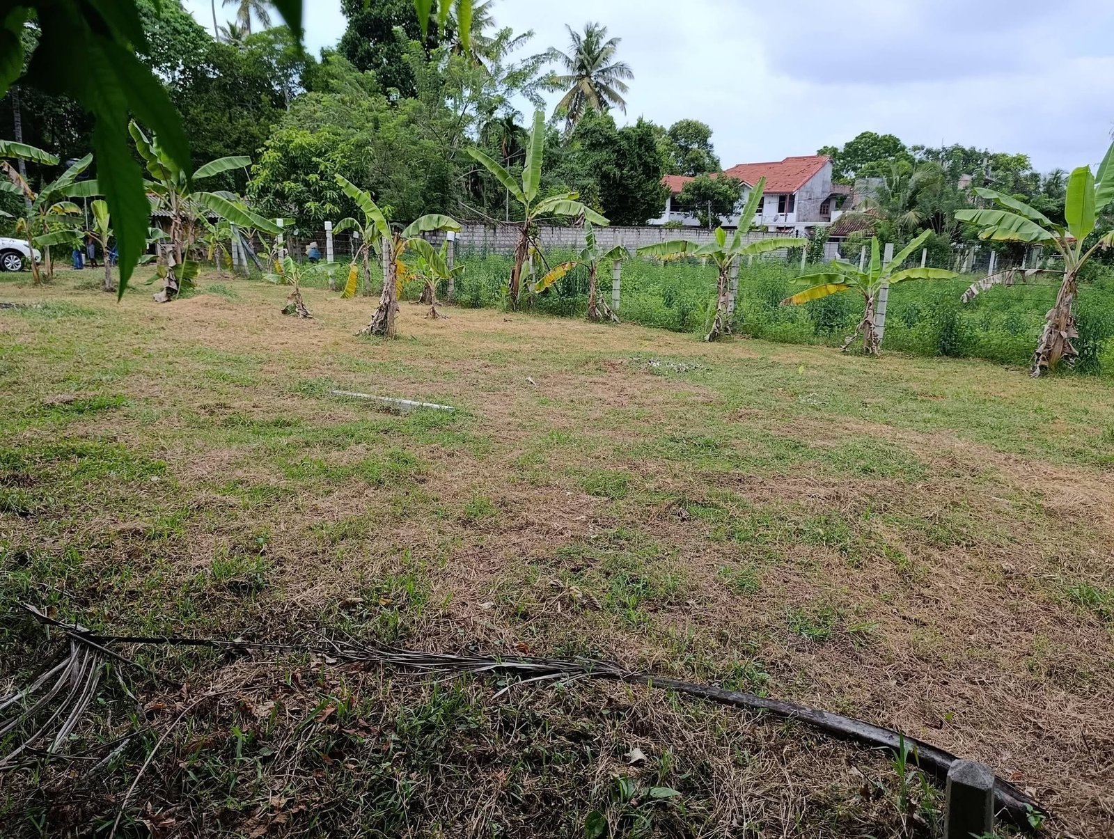 Land for Sale – Kochchikade, Negombo