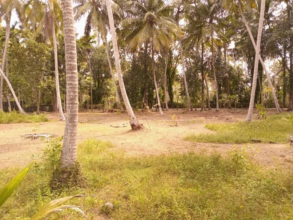 Land for Sale – Kimbulapitiya, Negombo