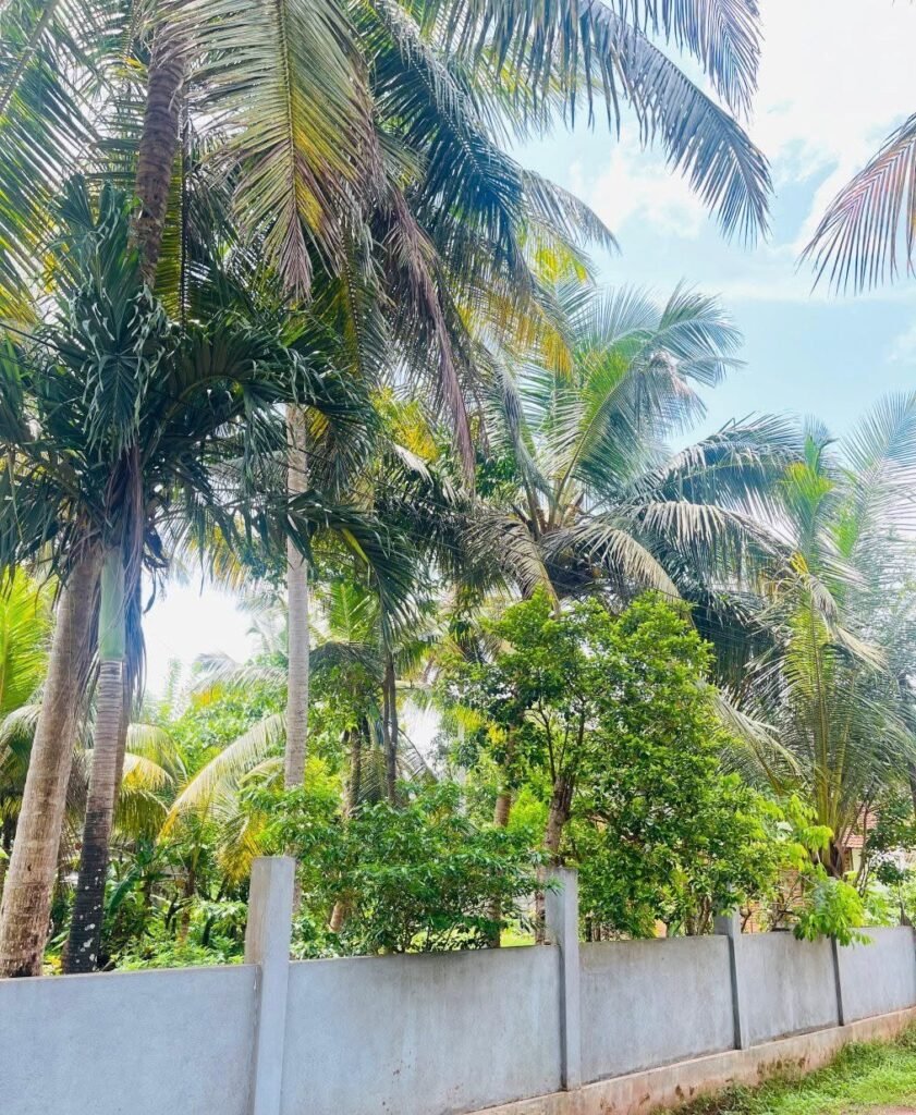 Land for Sale – Andiambalama, Katunayaka