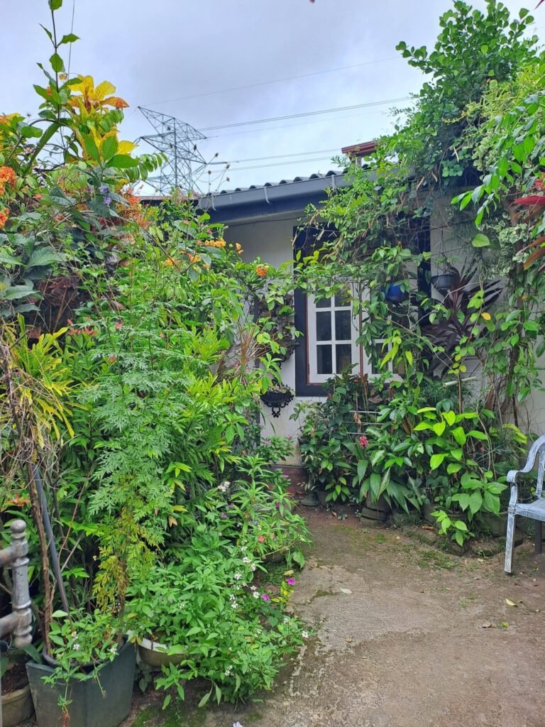 House for Sale – Ja Ela, Ekala