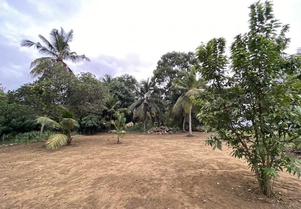 Prime Commercial Land for Rent – Katunayaka