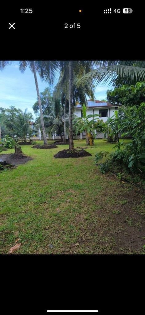 Land for Sale – Waikkala