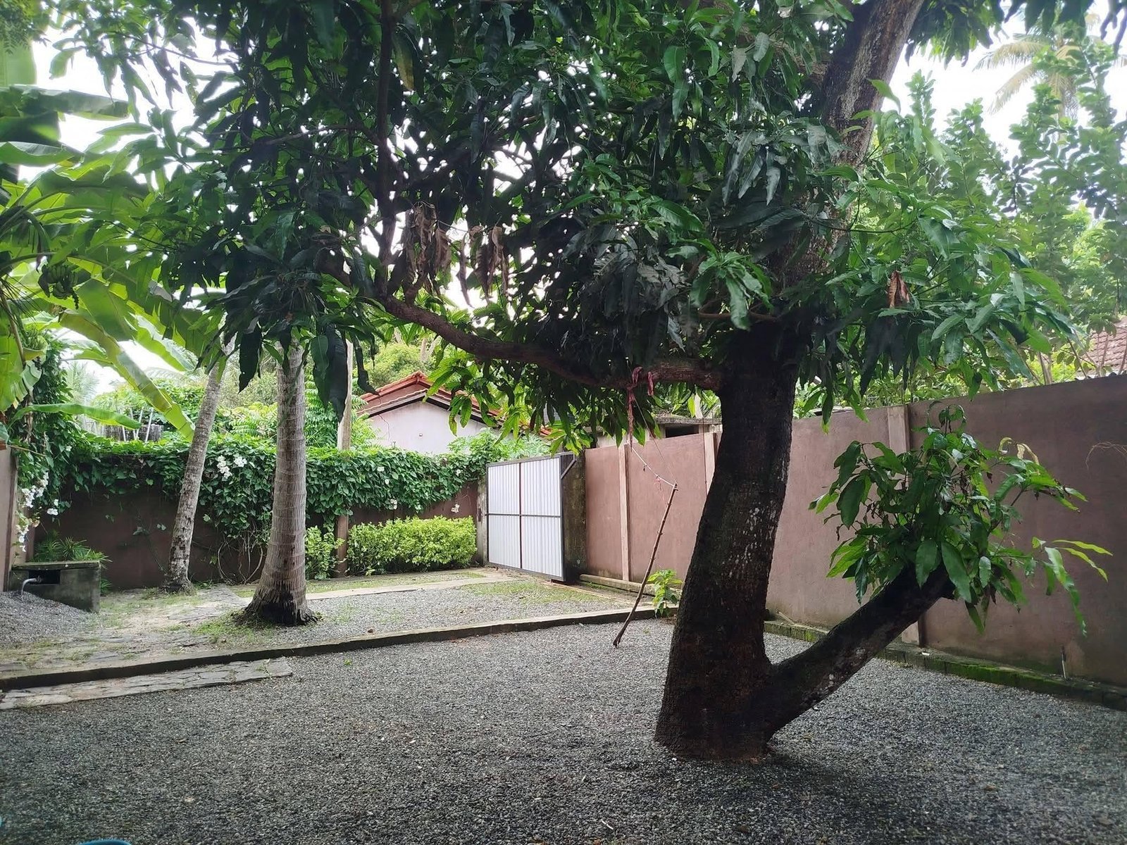 Single room House for Rent – Katunayaka