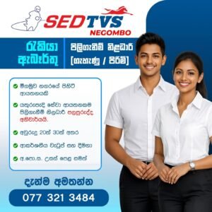 SED TVS