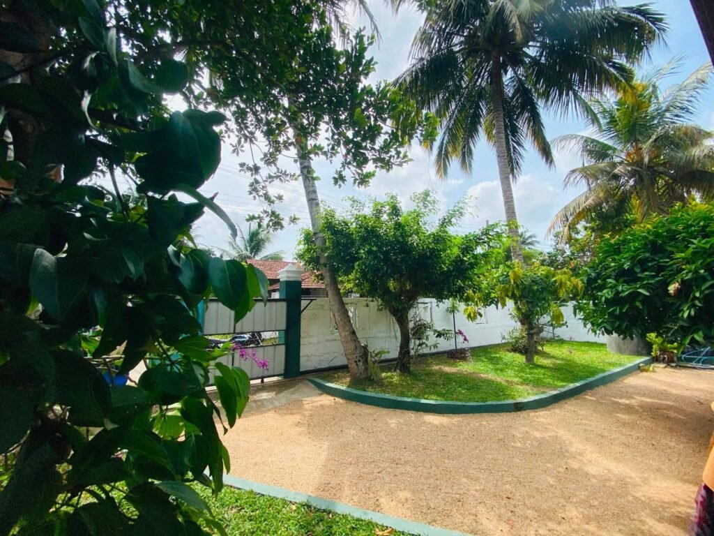අගනා දෙමහල්නි වසක් විකිණිමට
