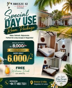 Special Day Use Room Package
