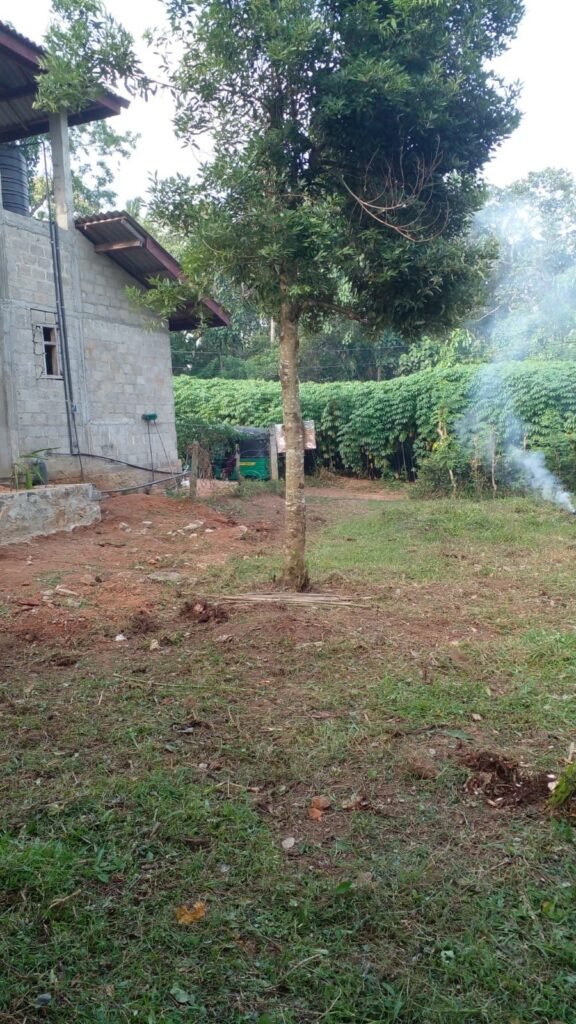 Land for Sale – Mirigama