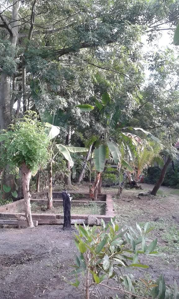Land For Sale – Siyambala Gaha Road