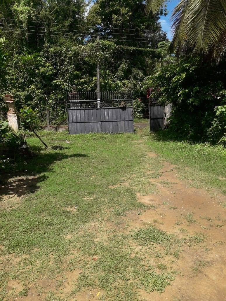 Land for Sale in Daluwakotuwa, Athgala