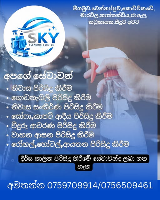 Cleaning Service