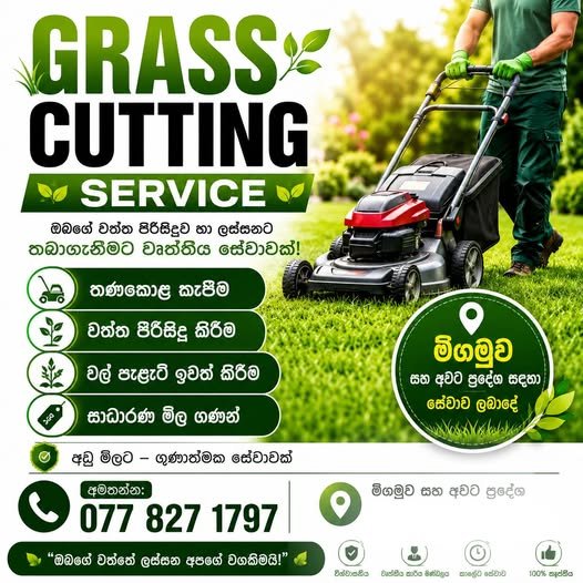 Grass Cutting Service