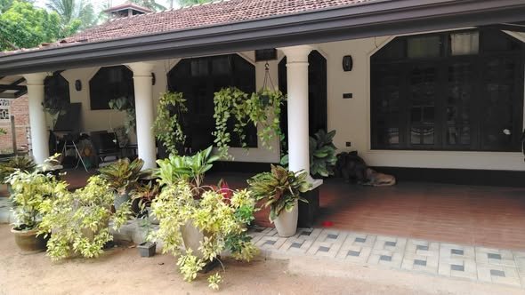 House with Land for Immediate Sale