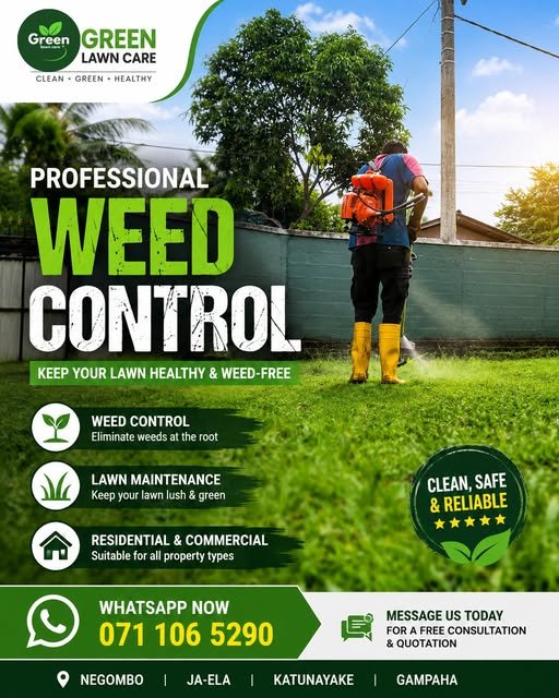 Green Lawn Care Weed Control Service