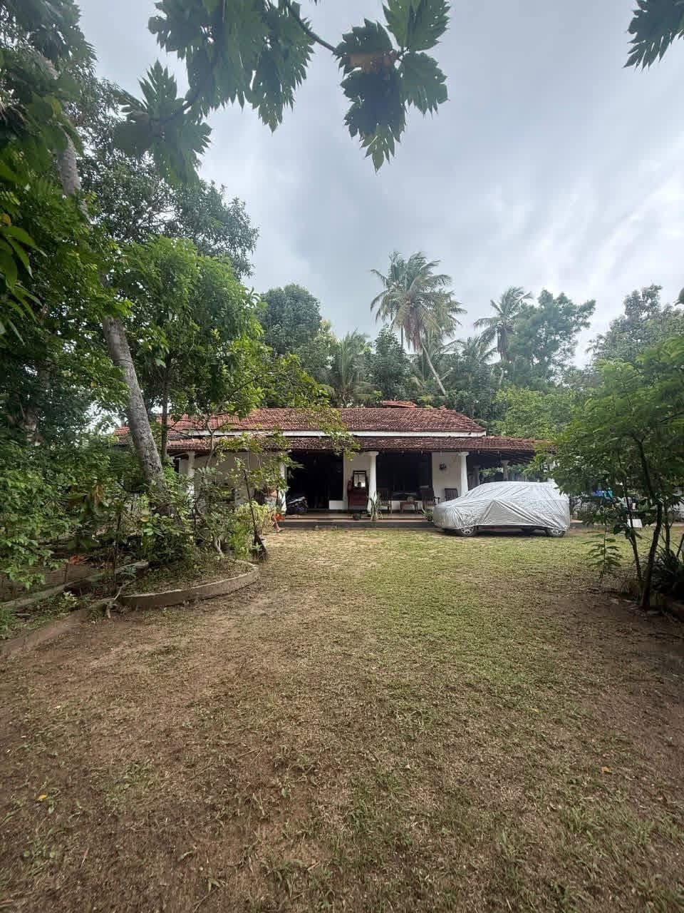Single Storey House for Sale