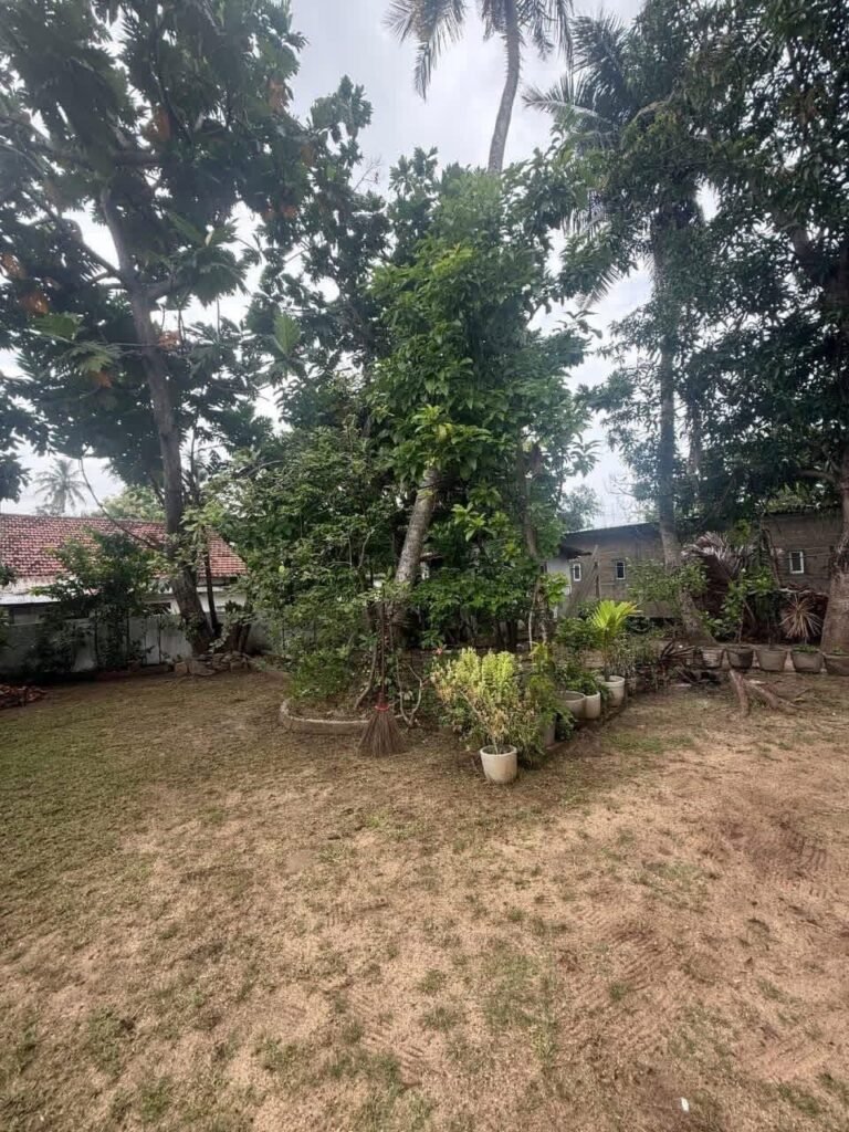 Single Storey House for Sale