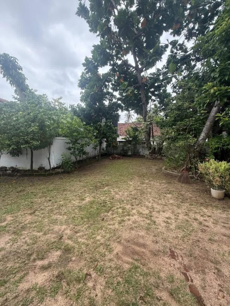 Single Storey House for Sale