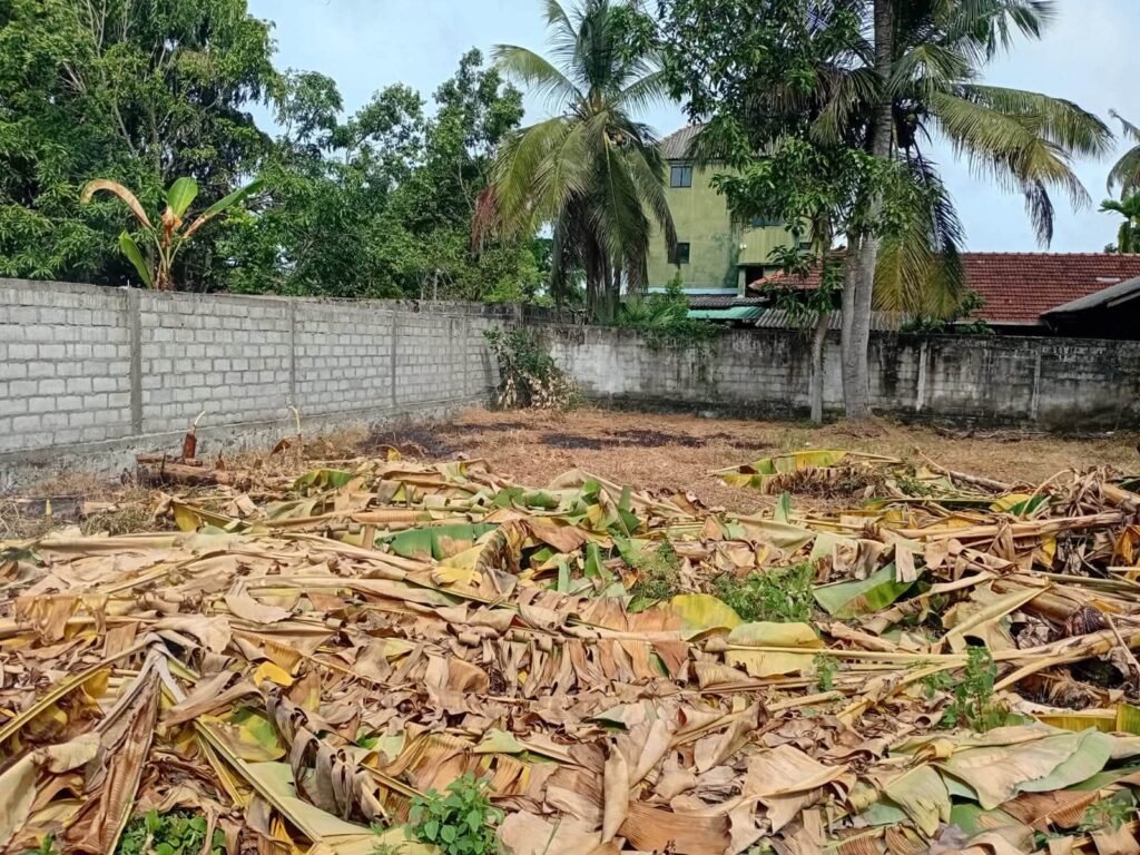 Commercial Land for Sale in Negombo