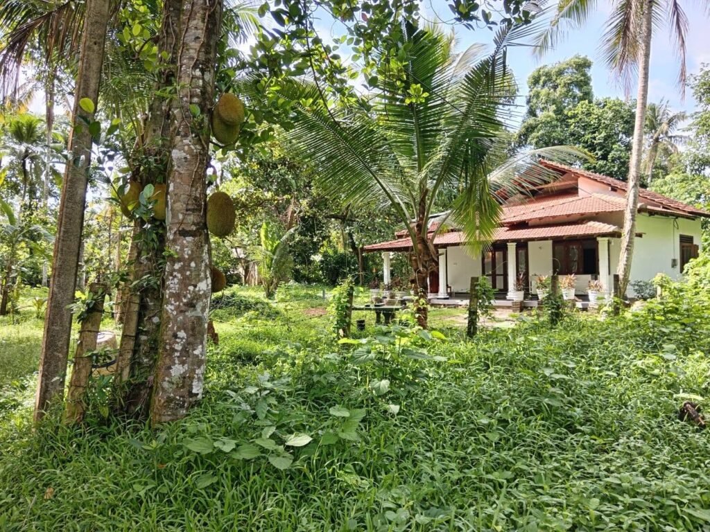 Two-Bedroom House for Rent Near Katunayake