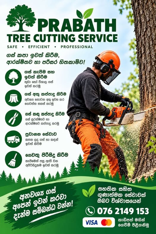 Prabath Tree Cutting Service