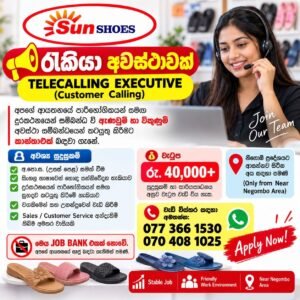Sun Shoes