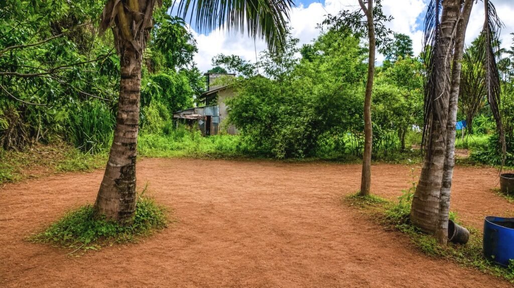 Land for Sale in Minuwangoda