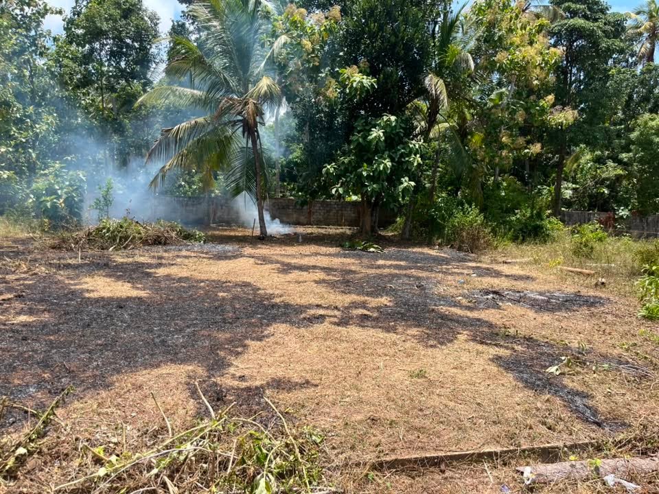 Land for Sale in Wennappuwa