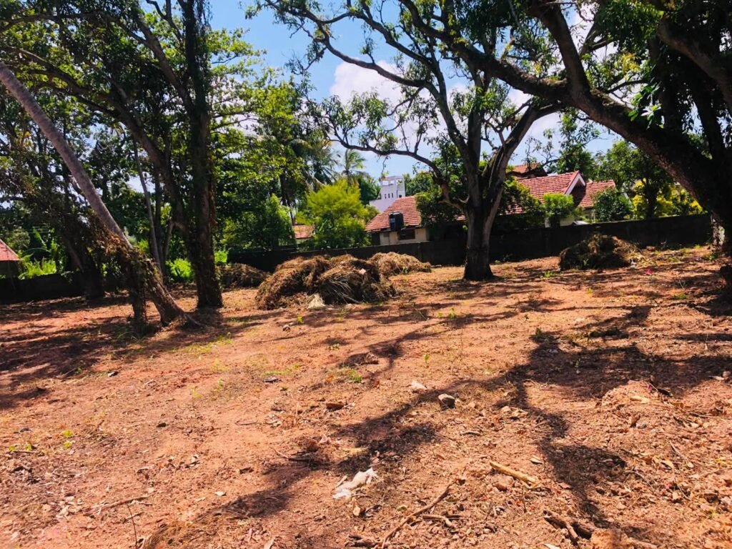 Land for Investment and Construction