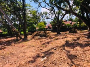 Land for Investment and Construction