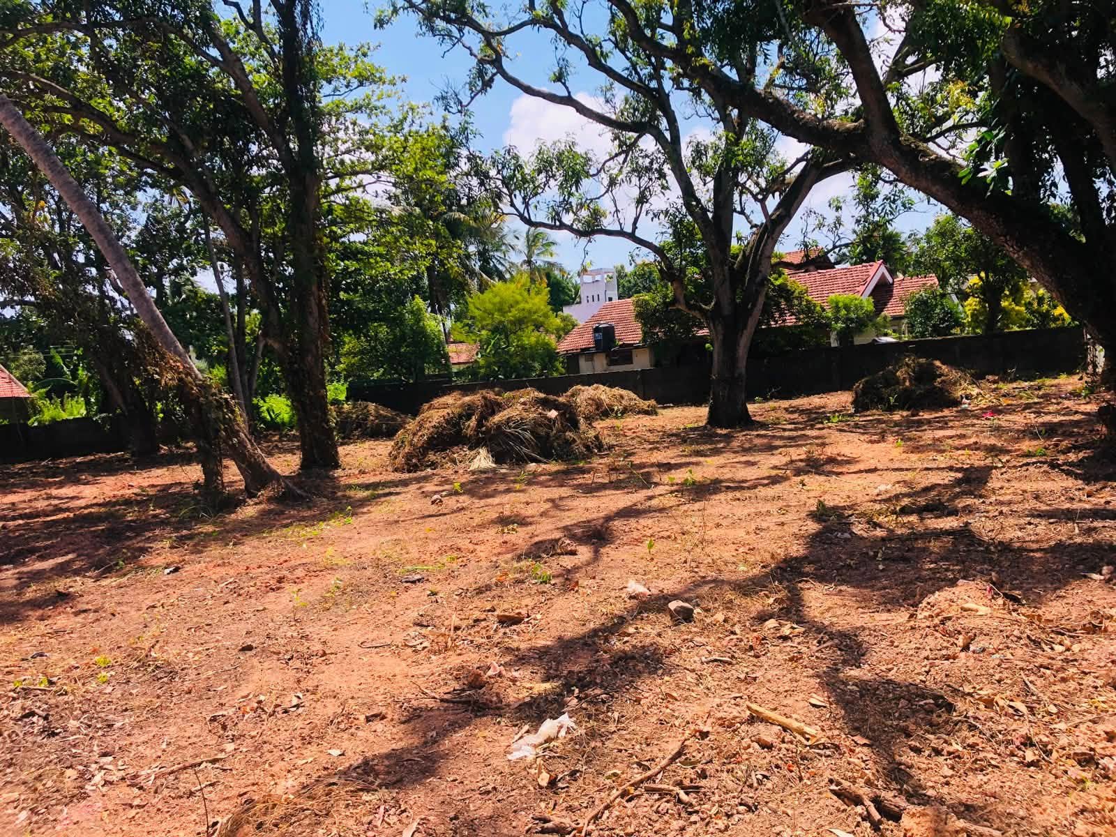 Land for Investment and Construction