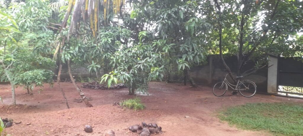 Land for Sale in Negombo – Kadirana