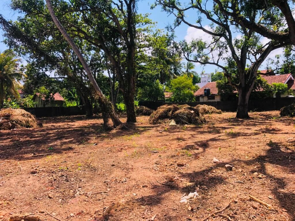 Land for Investment and Construction