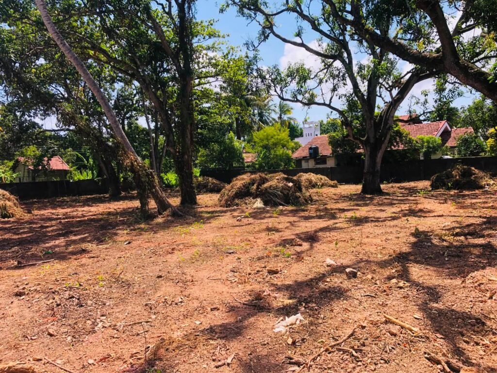 Land for Investment and Construction