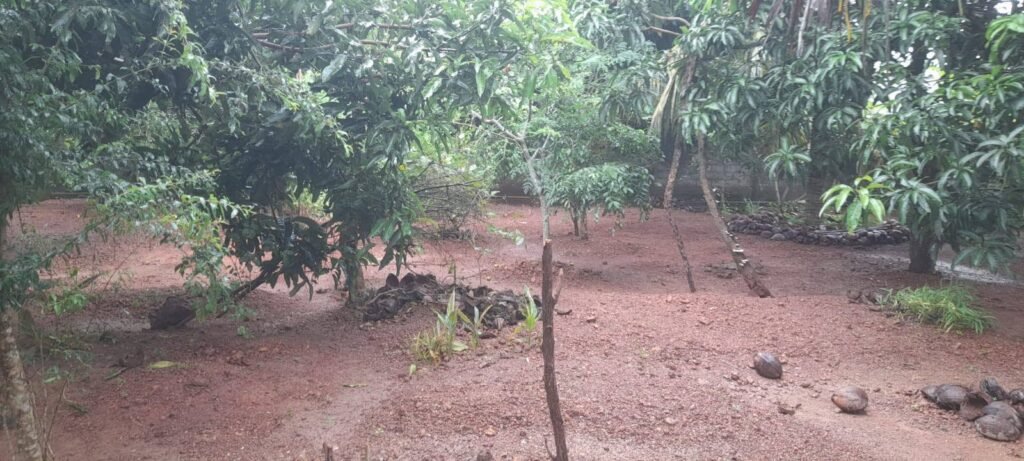 Land for Sale in Negombo – Kadirana