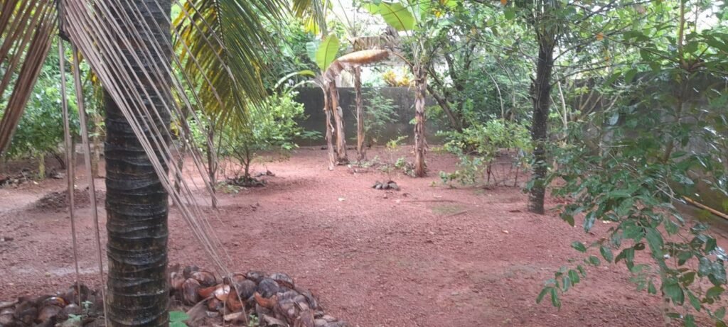 Land for Sale in Negombo – Kadirana