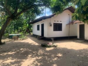 Valuable Land for Sale in Dalupatha