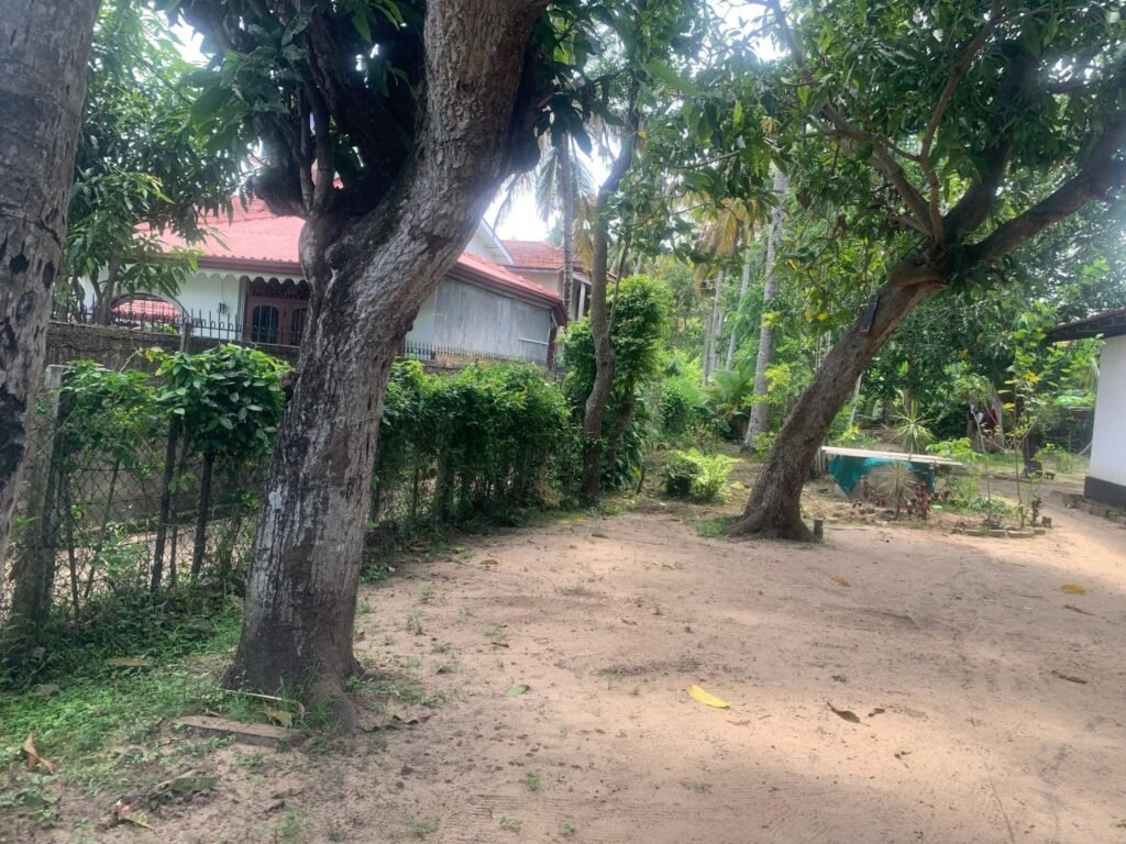 Valuable Land for Sale in Dalupatha