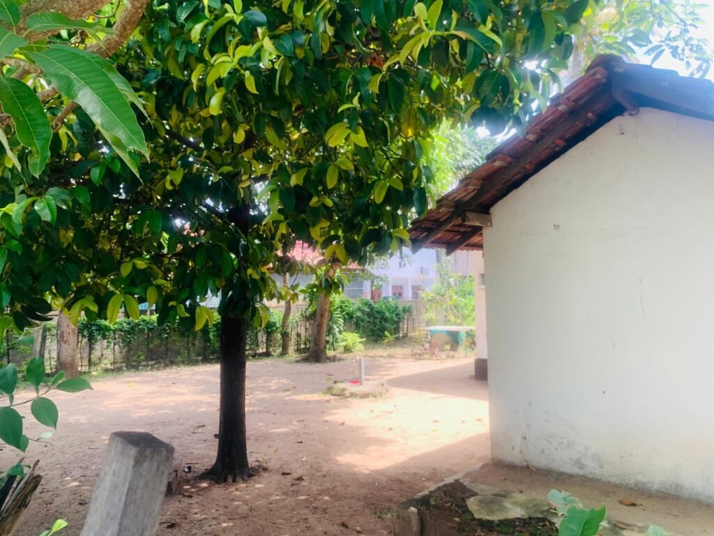 Valuable Land for Sale in Dalupatha